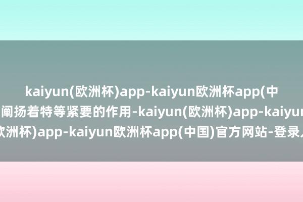 kaiyun(欧洲杯)app-kaiyun欧洲杯app(中国)官方网站-登录入口 都阐扬着特等紧要的作用-kaiyun(欧洲杯)app-kaiyun欧洲杯app(中国)官方网站-登录入口