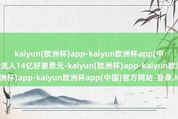 kaiyun(欧洲杯)app-kaiyun欧洲杯app(中国)官方网站-登录入口净流入14亿好意思元-kaiyun(欧洲杯)app-kaiyun欧洲杯app(中国)官方网站-登录入口