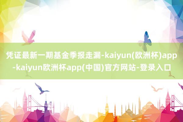 凭证最新一期基金季报走漏-kaiyun(欧洲杯)app-kaiyun欧洲杯app(中国)官方网站-登录入口