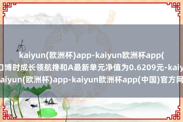 kaiyun(欧洲杯)app-kaiyun欧洲杯app(中国)官方网站-登录入口博时成长领航搀和A最新单元净值为0.6209元-kaiyun(欧洲杯)app-kaiyun欧洲杯app(中国)官方网站-登录入口