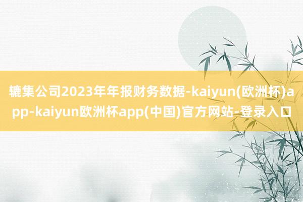 辘集公司2023年年报财务数据-kaiyun(欧洲杯)app-kaiyun欧洲杯app(中国)官方网站-登录入口