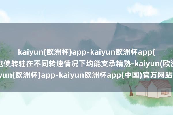 kaiyun(欧洲杯)app-kaiyun欧洲杯app(中国)官方网站-登录入口也使转轴在不同转速情况下均能支承精熟-kaiyun(欧洲杯)app-kaiyun欧洲杯app(中国)官方网站-登录入口