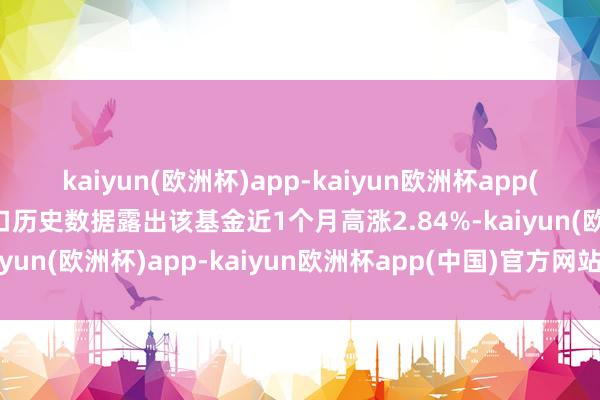 kaiyun(欧洲杯)app-kaiyun欧洲杯app(中国)官方网站-登录入口历史数据露出该基金近1个月高涨2.84%-kaiyun(欧洲杯)app-kaiyun欧洲杯app(中国)官方网站-登录入口