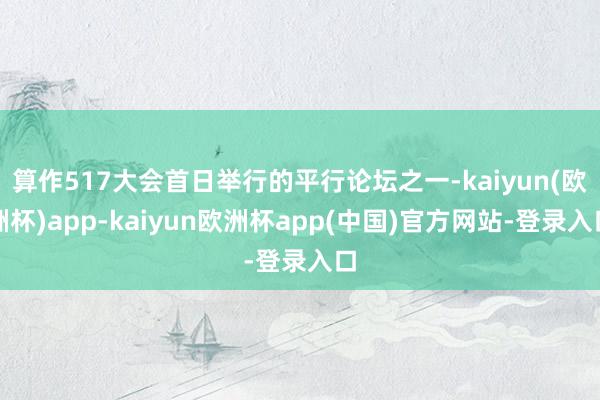 算作517大会首日举行的平行论坛之一-kaiyun(欧洲杯)app-kaiyun欧洲杯app(中国)官方网站-登录入口