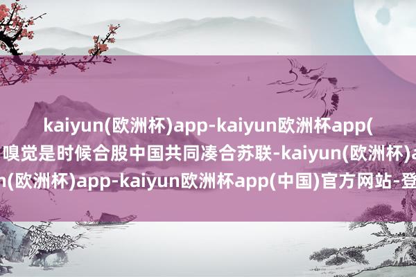 kaiyun(欧洲杯)app-kaiyun欧洲杯app(中国)官方网站-登录入口嗅觉是时候合股中国共同凑合苏联-kaiyun(欧洲杯)app-kaiyun欧洲杯app(中国)官方网站-登录入口