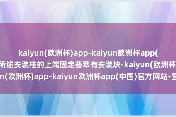 kaiyun(欧洲杯)app-kaiyun欧洲杯app(中国)官方网站-登录入口所述安装柱的上端固定荟萃有安装块-kaiyun(欧洲杯)app-kaiyun欧洲杯app(中国)官方网站-登录入口