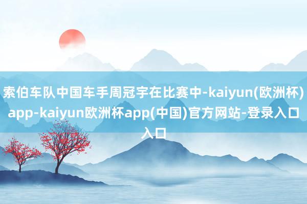 索伯车队中国车手周冠宇在比赛中-kaiyun(欧洲杯)app-kaiyun欧洲杯app(中国)官方网站-登录入口