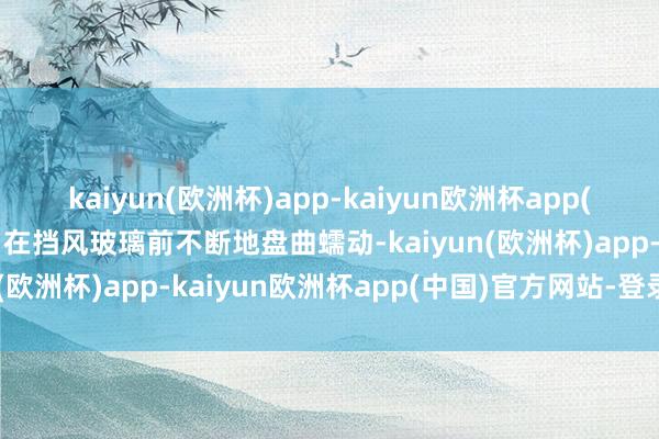 kaiyun(欧洲杯)app-kaiyun欧洲杯app(中国)官方网站-登录入口在挡风玻璃前不断地盘曲蠕动-kaiyun(欧洲杯)app-kaiyun欧洲杯app(中国)官方网站-登录入口