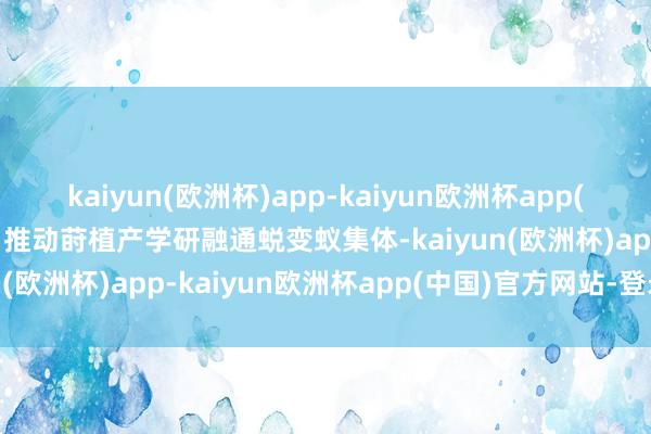 kaiyun(欧洲杯)app-kaiyun欧洲杯app(中国)官方网站-登录入口推动莳植产学研融通蜕变蚁集体-kaiyun(欧洲杯)app-kaiyun欧洲杯app(中国)官方网站-登录入口