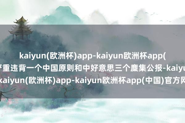 kaiyun(欧洲杯)app-kaiyun欧洲杯app(中国)官方网站-登录入口严重违背一个中国原则和中好意思三个麇集公报-kaiyun(欧洲杯)app-kaiyun欧洲杯app(中国)官方网站-登录入口