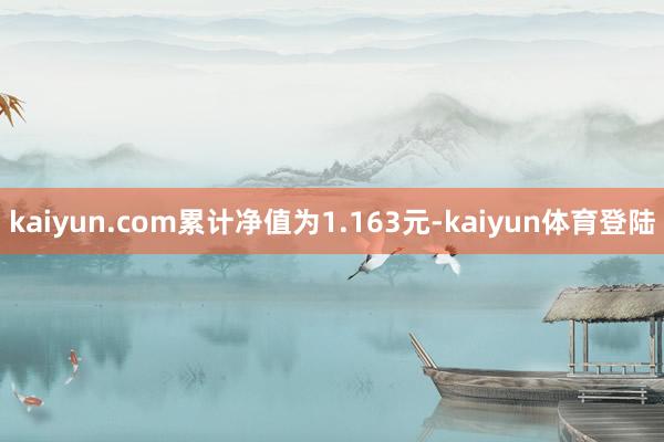 kaiyun.com累计净值为1.163元-kaiyun体育登陆