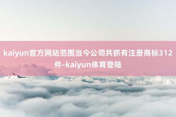 kaiyun官方网站范围当今公司共抓有注册商标312件-kaiyun体育登陆